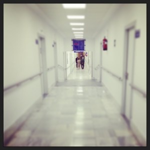 10632299_815750225167646_1894298382_n