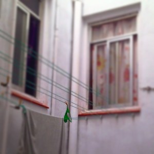 10735523_1509751605940485_1698619347_n