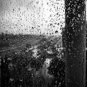 10802457_372895446210567_870560256_n