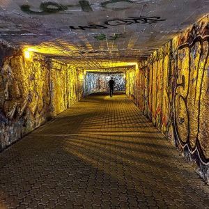 11257172_487169888117451_762100102_n