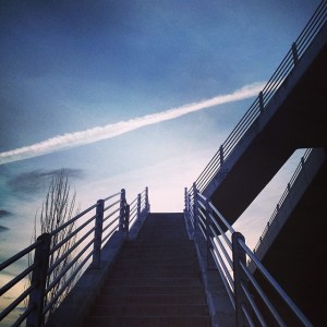 11275281_1629114024032185_512729714_n