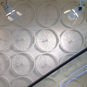 11296682_715028098624316_87600990_n