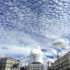 11377830_437672396416291_1067373400_n