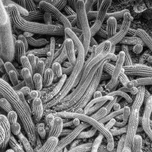 11881801_132907947054590_1910437737_n